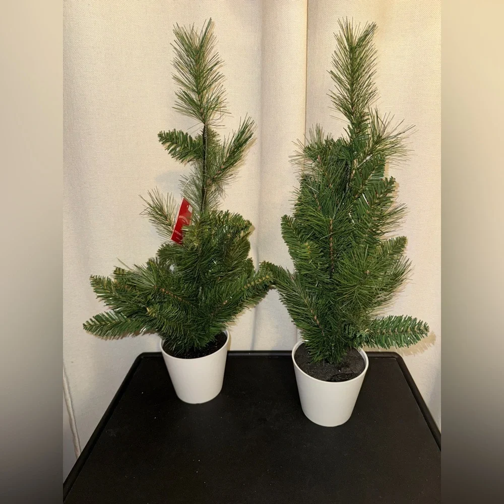 Christmas Two Potted Mini trees Wondershop